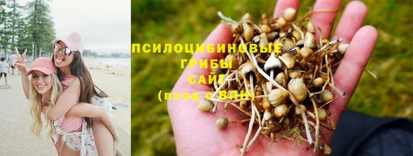 спайс Армянск